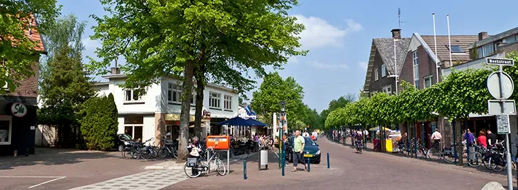 Winkelstraat in het centrum van Epe met bomen en terrassen